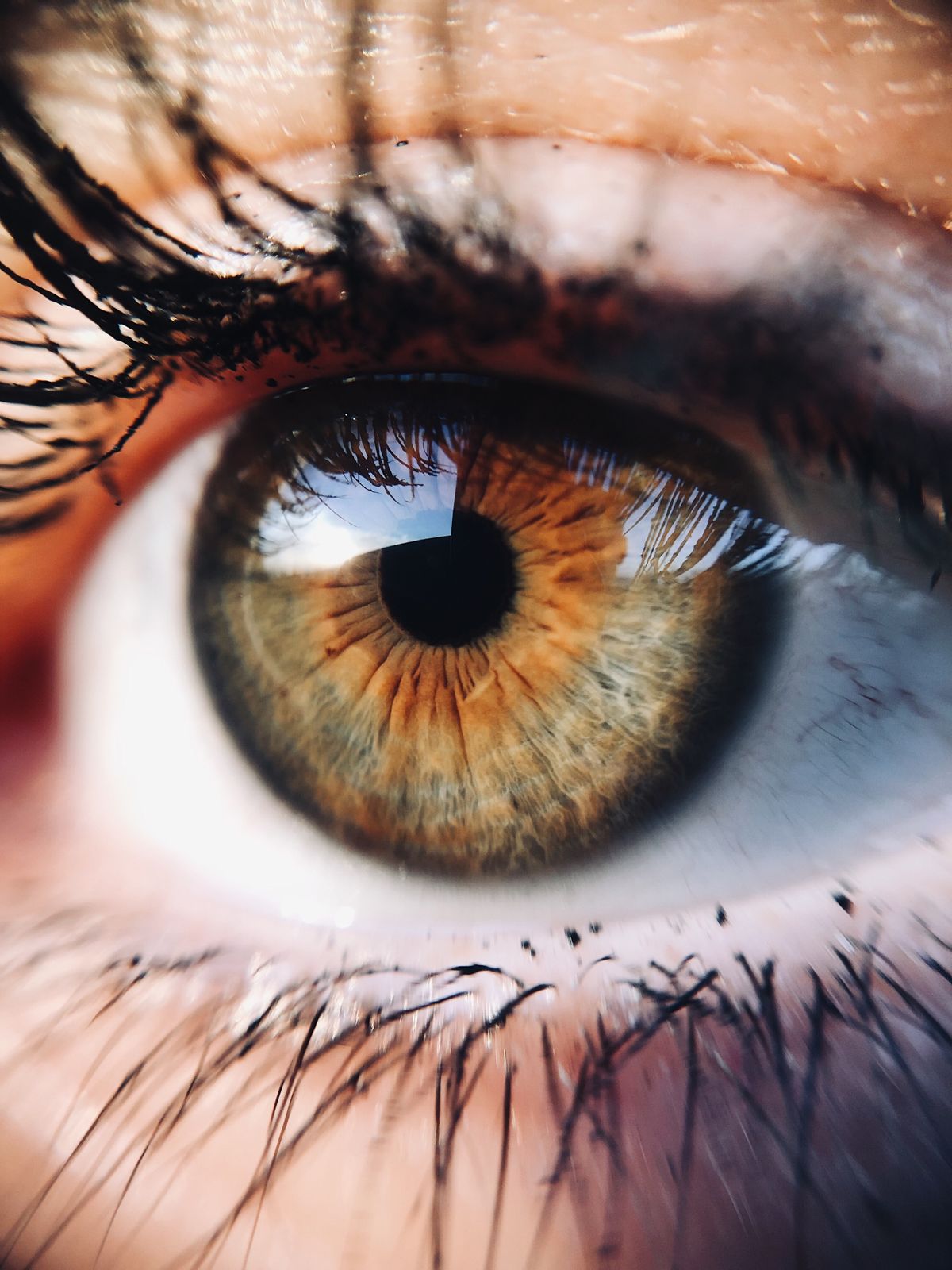 Eyebrow tattoo in Korea on a one-week trip — 8 timing rules